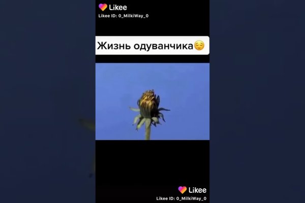 Кракен актуальная ссылка