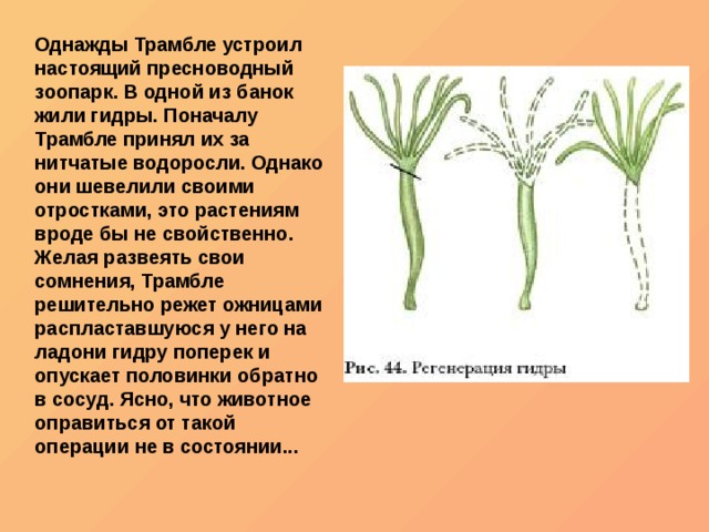Кракен это современный даркнет маркет плейс